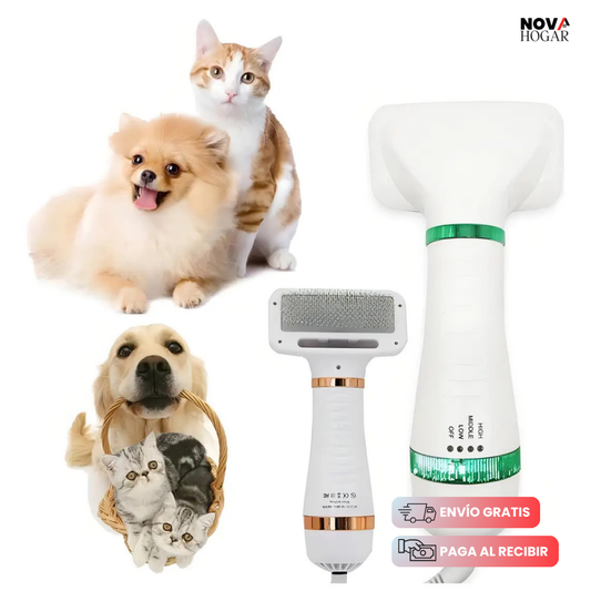 PawsitiveBlow™ 2 en 1 Secador Cepillo Suave Mascota