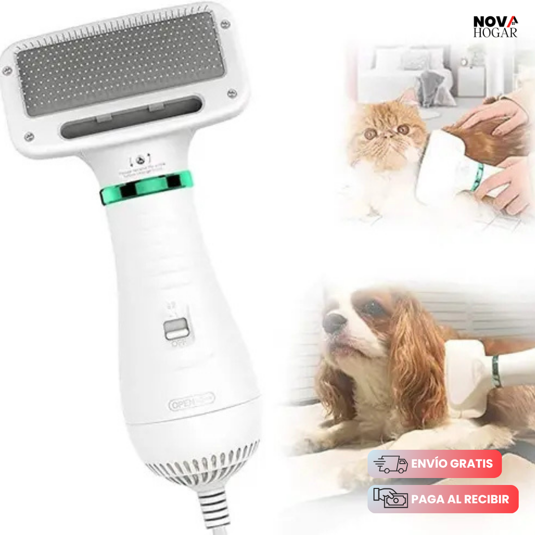 PawsitiveBlow™ 2 en 1 Secador Cepillo Suave Mascota