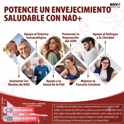 NAD+ 1000 mg con Nicotinamide Riboside, PQQ y Resveratrol Pack x30 sobres